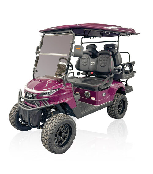 STRIKE 4seat Lifted Purple