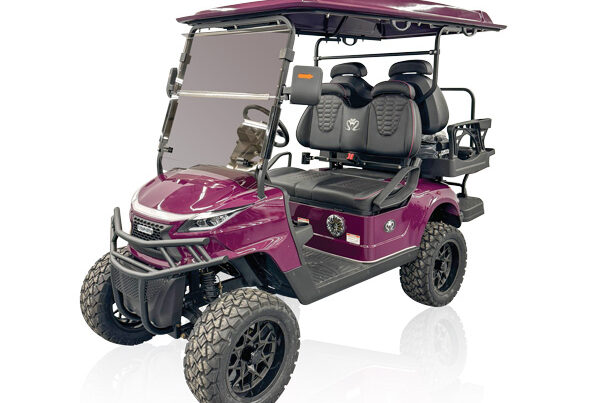 STRIKE 4seat Lifted Purple